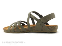 Bionatura 85A2136 Kaki - Sandale Femme 8 Bionatura 85A2136 Kaki - Sandale Femme -France Chaussure Soldes 2024 cd24607c73b9e66c561f35ea11d5d5ef img 0175.jpg 160199