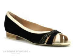 Fugitive FUMEE LPIJN11 Velours Noir - Or - Ballerine -France Chaussure Soldes 2024 cd24607c73b9e66c561f35ea11d5d5ef img 8321.jpg 157366